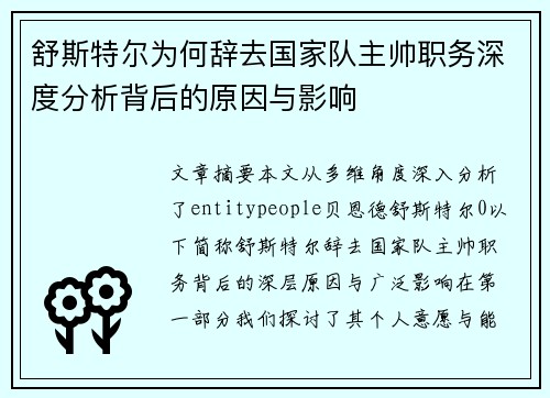 舒斯特尔为何辞去国家队主帅职务深度分析背后的原因与影响 舒斯特尔为何辞去国家队主帅职务深度分析背后的原因与影响
