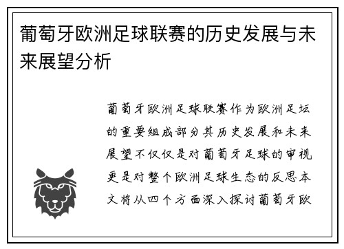 葡萄牙欧洲足球联赛的历史发展与未来展望分析